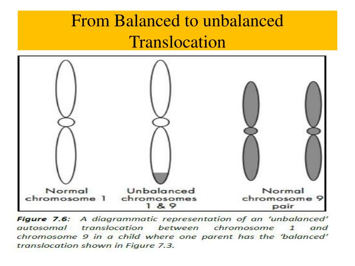 unbalanced translocation definition