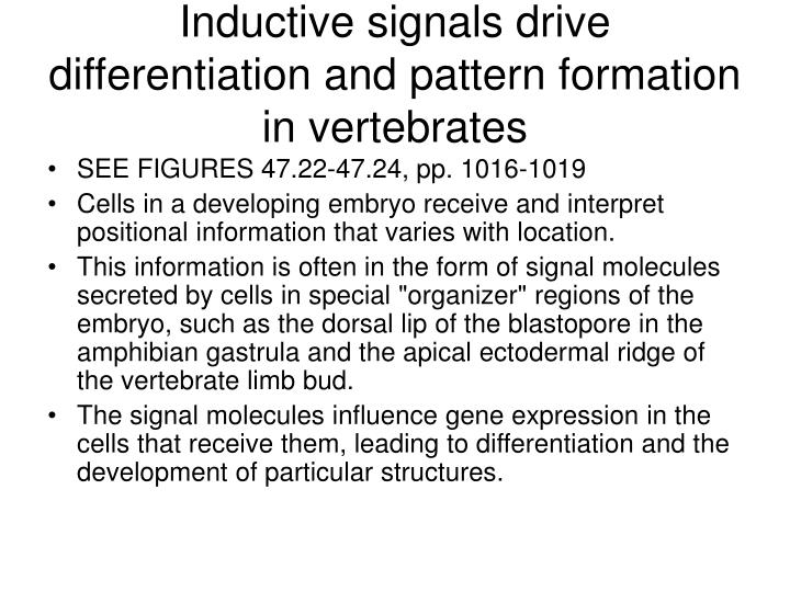 Pattern Formation Vertebrates | ppt ch 47 powerpoint presentation id 3224777 Pattern Formation Vertebrates | ppt ch 47 powerpoint presentation id 3224777