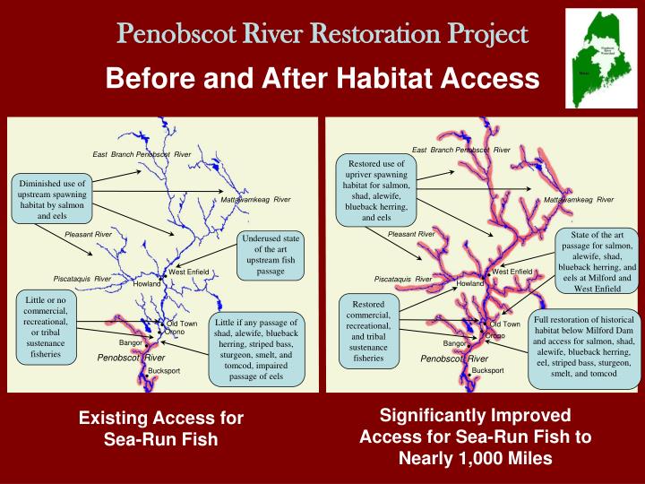 an introduction to the consumnes river habitat restoration project an introduction to the consumnes river habitat restoration project