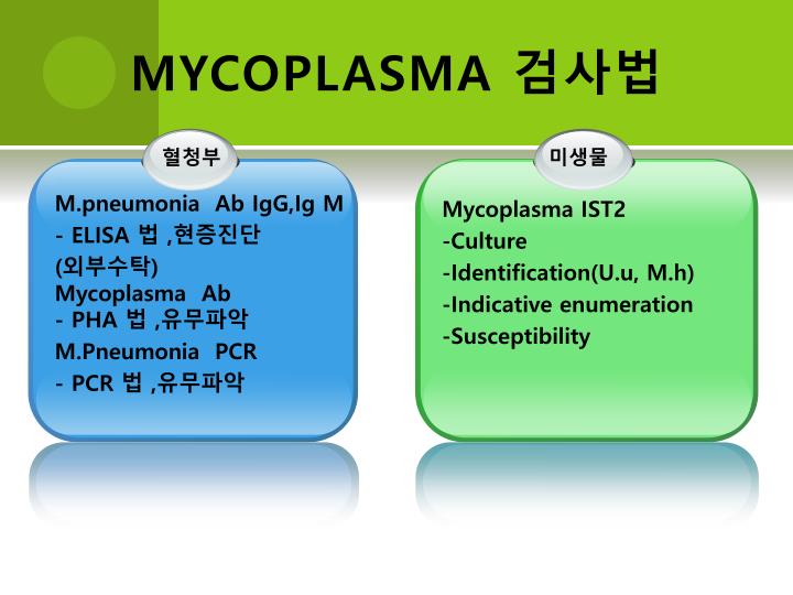 PPT - MYCOPLASMA IST2 PowerPoint Presentation - ID:3280969