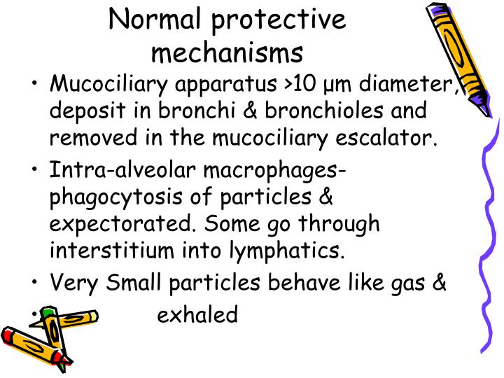 PPT Pneumoconiosis PowerPoint Presentation ID3281365