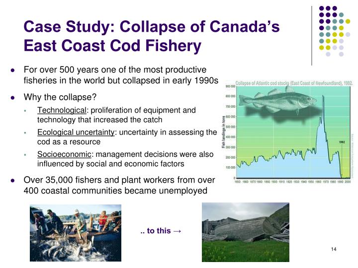 east coast canadian fisheries essay east coast canadian fisheries essay