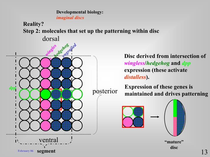 MOSFET Models for VLSI Circuit Simulation: