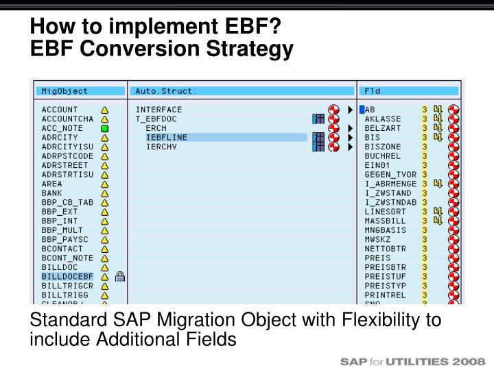 Sap data conversion strategy document