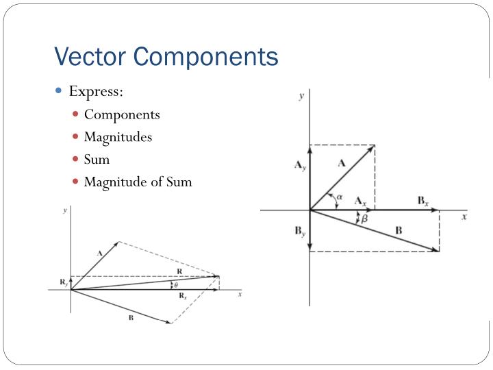 The Xcomponent Of The Force Vector Can Be Positive Or Negative