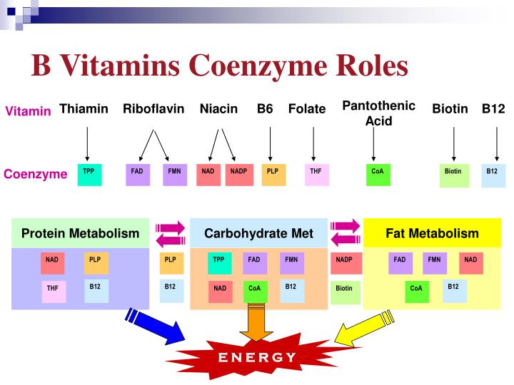 PPT Lecture 6 Vitamins and Coenzymes PowerPoint Presentation ID3300492