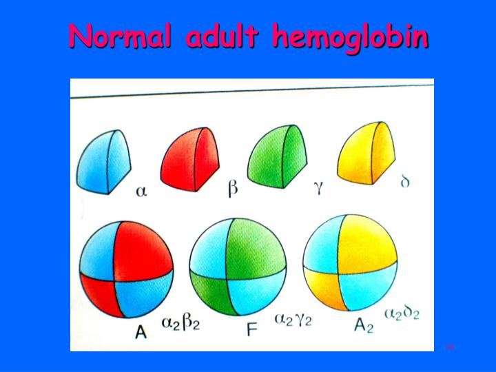 an overview of the importance of hemoglobin in carrying oxygene La société de pathologie exotique (association loi 1901) est reconnue d'utilité publique depuis 1962, et est habilitée à recevoir dons et legs. an overview of the importance of hemoglobin in carrying oxygene La société de pathologie exotique (association loi 1901) est reconnue d'utilité publique depuis 1962, et est habilitée à recevoir dons et legs.