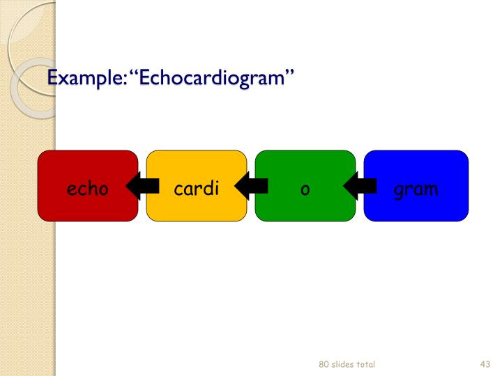What does the different colors mean echocardiogram The Meaning Of Color