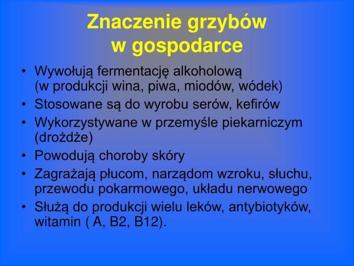 Jakie Znaczenie Mają Grzyby W Przyrodzie I Gospodarce Człowieka PPT - Grzyby PowerPoint Presentation - ID:3380648