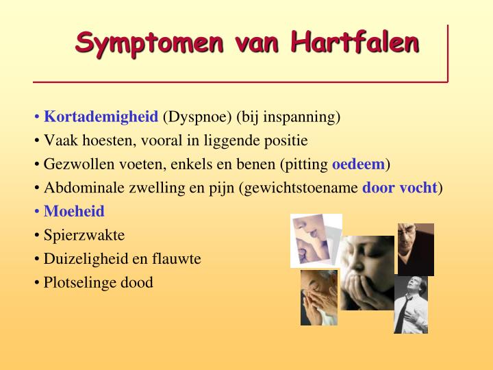 hartfalen hond symptomen