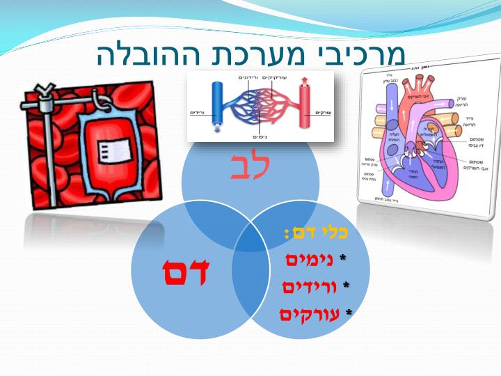 download acute promyelocytic leukemia molecular genetics mouse