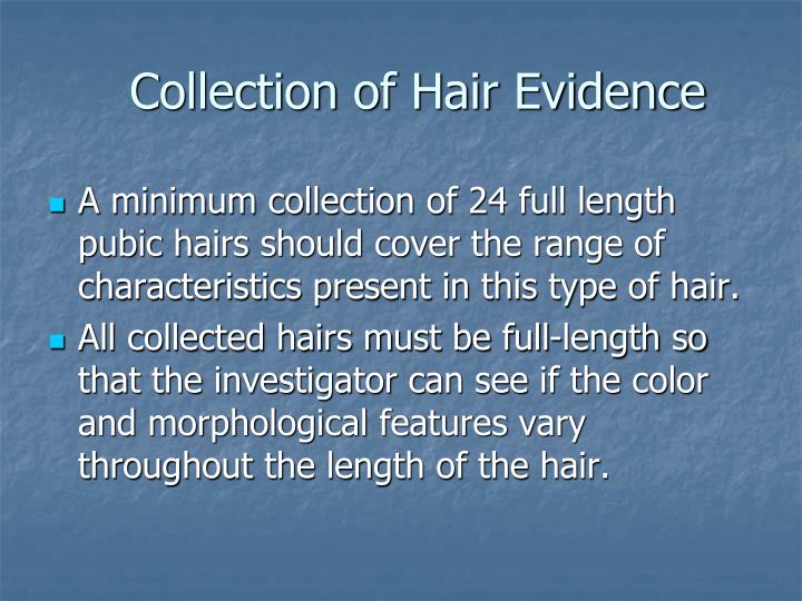 evidence hair evidence In the largest post conviction review of evidence, the fbi is now revisiting federal cases involving comparative hair analysis, many of which date. evidence hair evidence In the largest post conviction review of evidence, the fbi is now revisiting federal cases involving comparative hair analysis, many of which date.