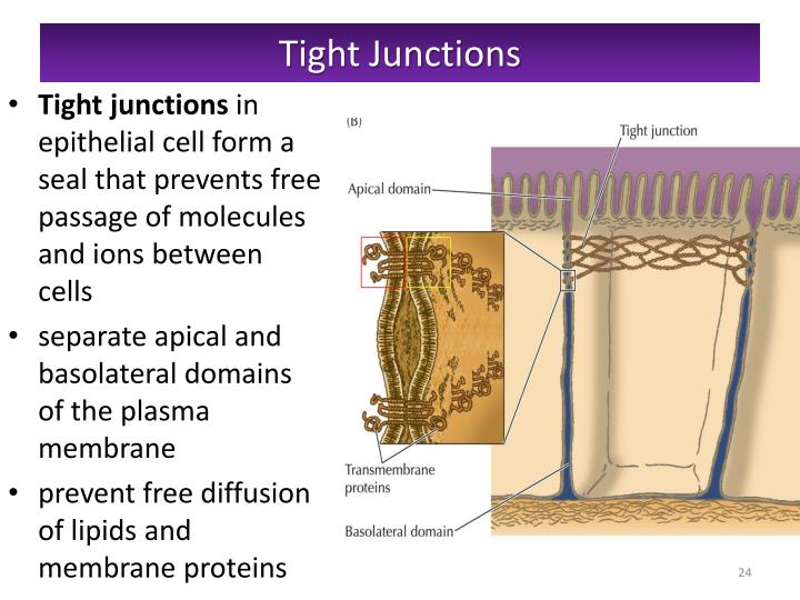 Physics of Submicron