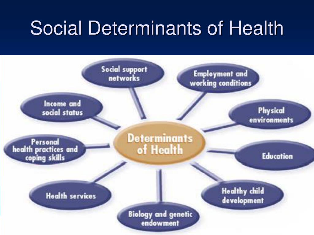 Social Determinants Of Health Equity In Social Determinants Of Hot