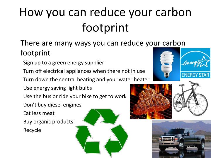 different types of carbon emission schemes essay different types of carbon emission schemes essay