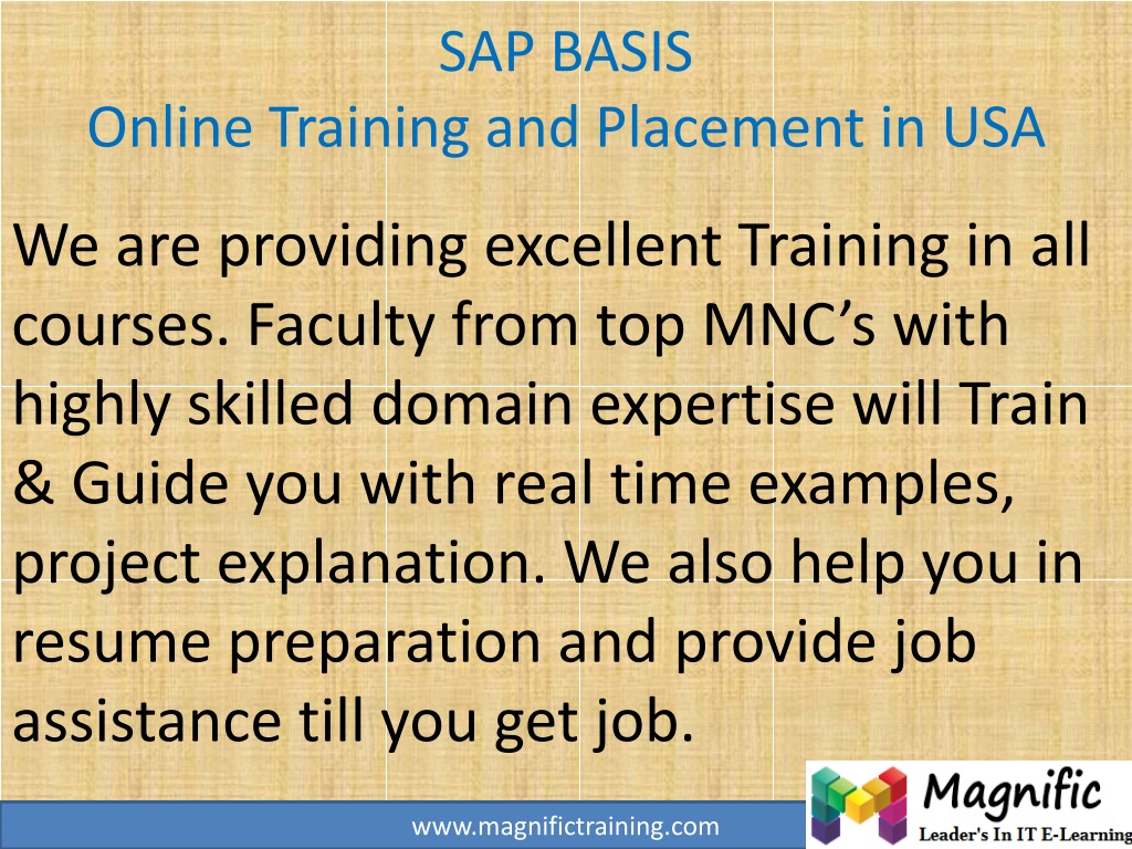 Sap training and job placement in usa