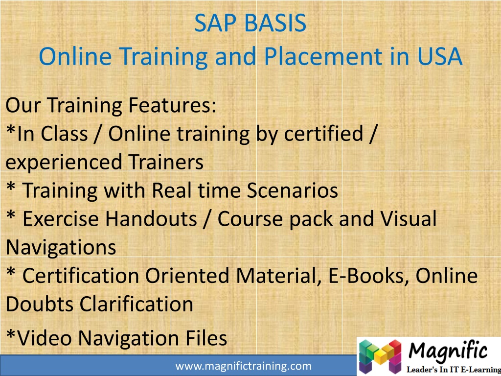 Informatica Training And Placement In Usa PPT - SAP BASIS Online Training and Placement in USA PowerPoint