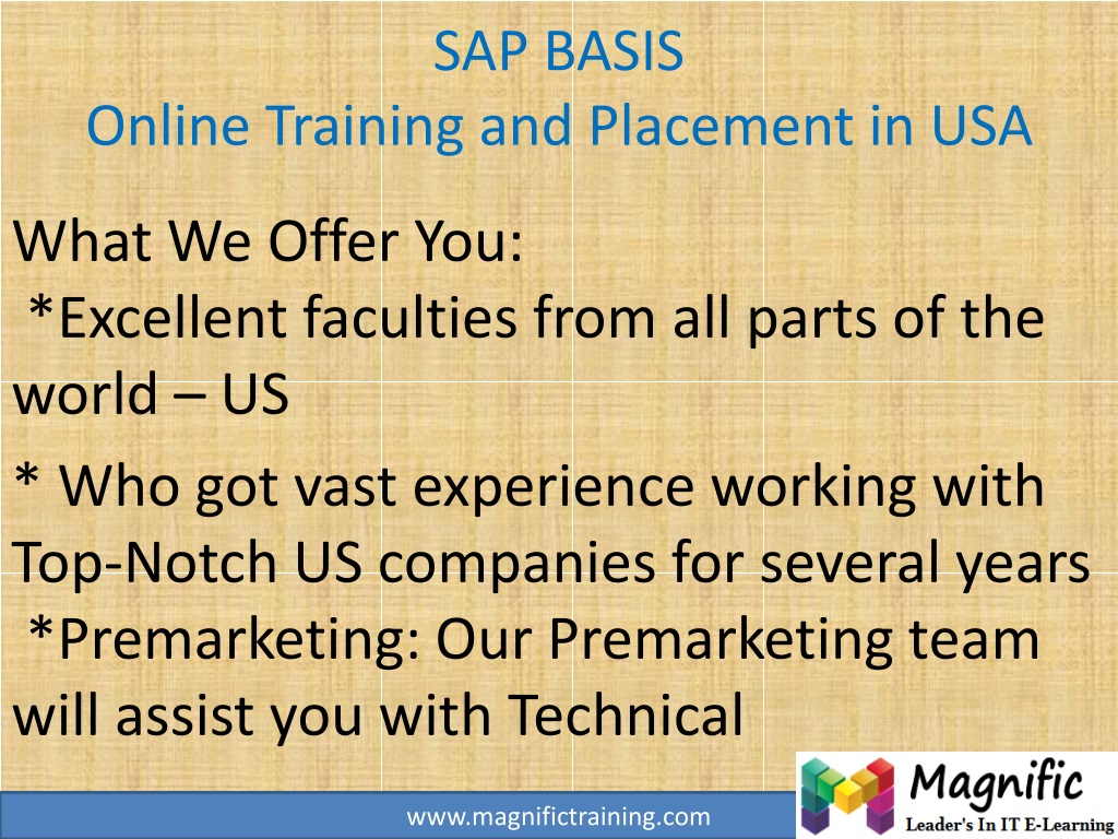 Informatica Training And Placement In Usa PPT - SAP BASIS Online Training and Placement in USA PowerPoint