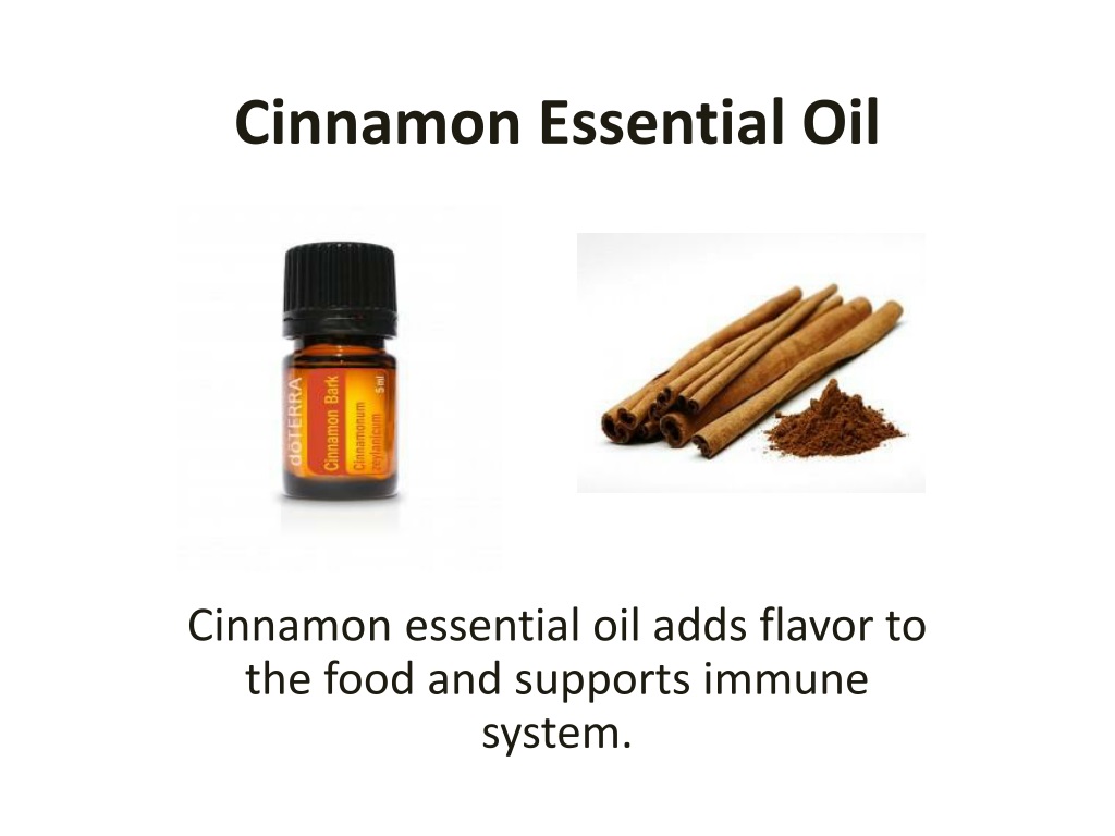 Cinnamon Bark Essential Oil - Buy Bulk  Essential Wholesale – Essential  Labs