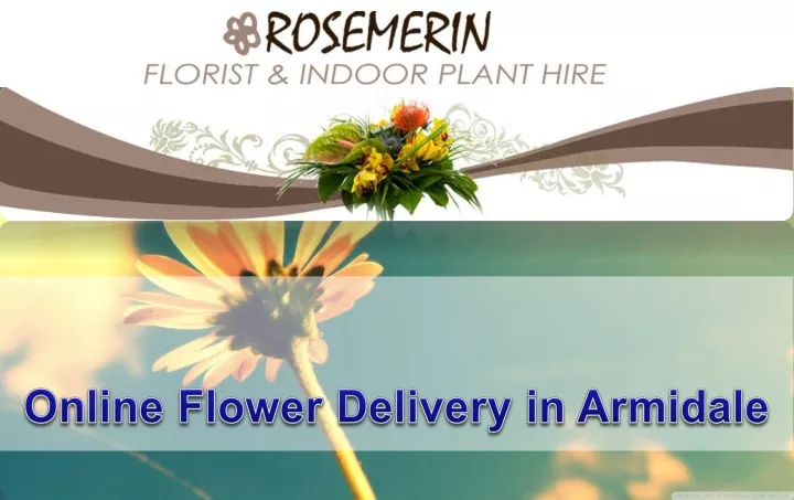 online flower delivery in armidale n.