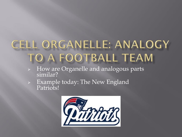 cell organelle analogies