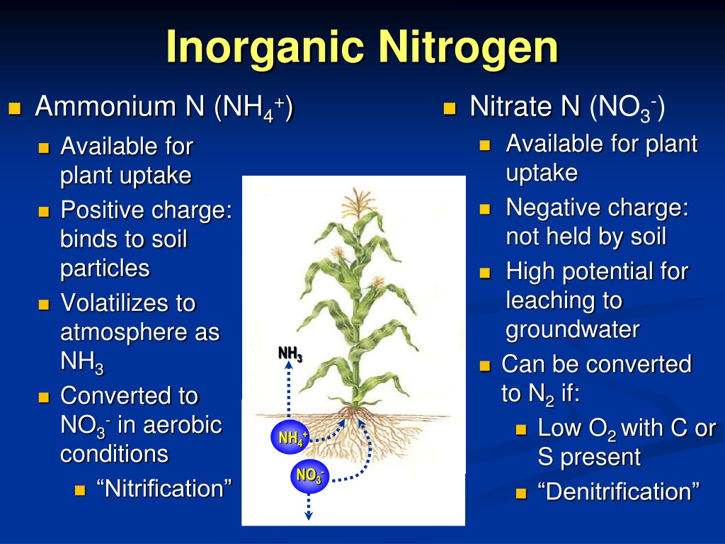 what is inorganic matter what is inorganic matter