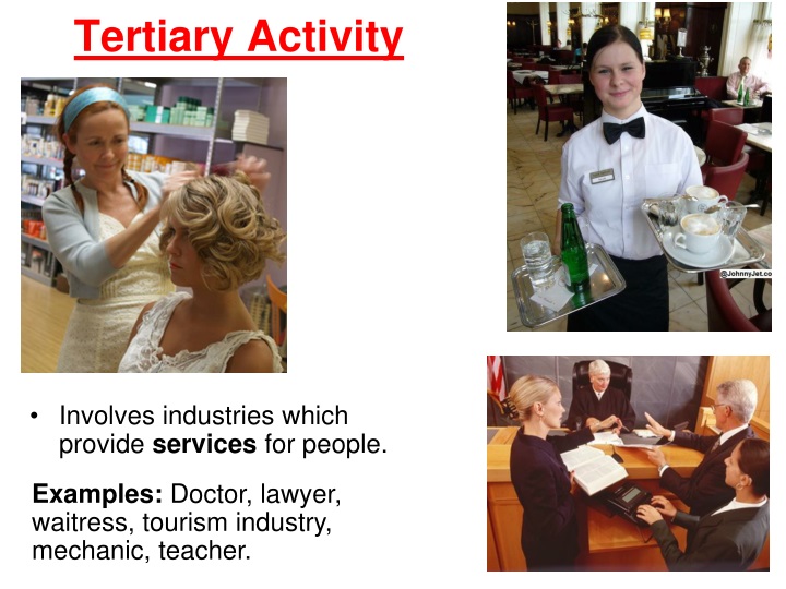 PPT - Tertiary Activity PowerPoint Presentation, free download - ID:1516063