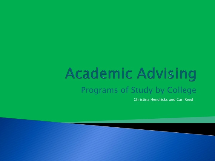 academic advising n.