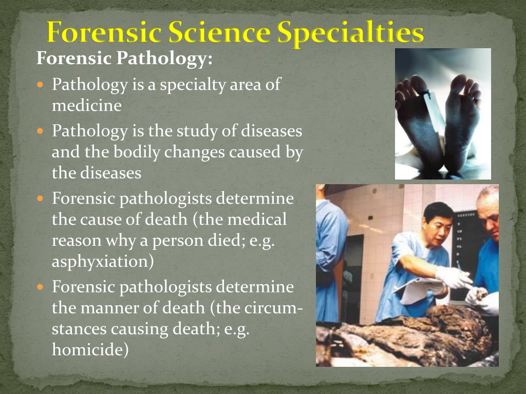 Ppt Forensic Science Powerpoint Presentation Free Download Id1519483