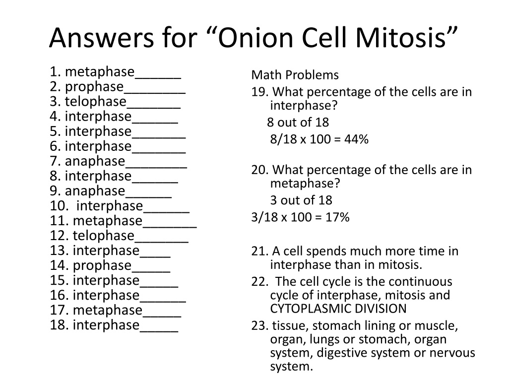 PPT - Inside a Cell PowerPoint Presentation, free download - ID Pertaining To Onion Cell Mitosis Worksheet Answers
