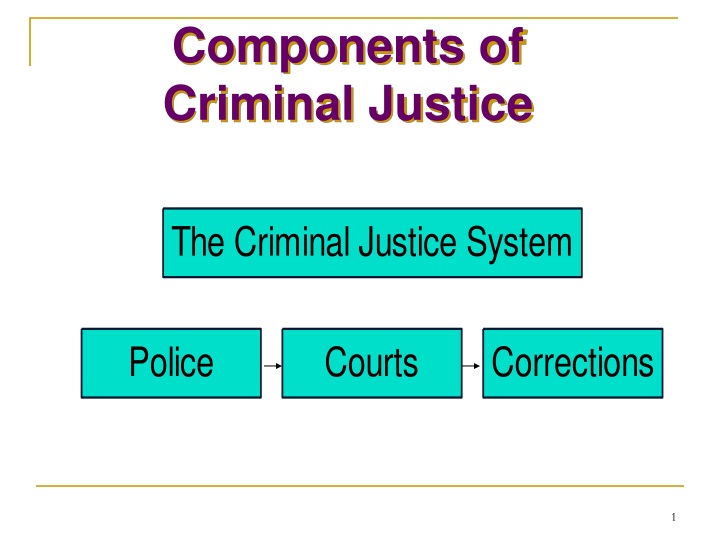 components of criminal justice n.