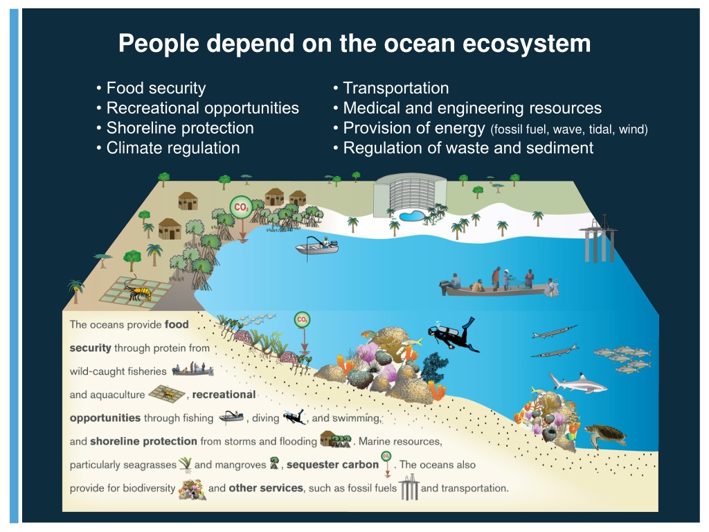 PPT - Governance and Enforcement are Critical to Managing Oceans ...
