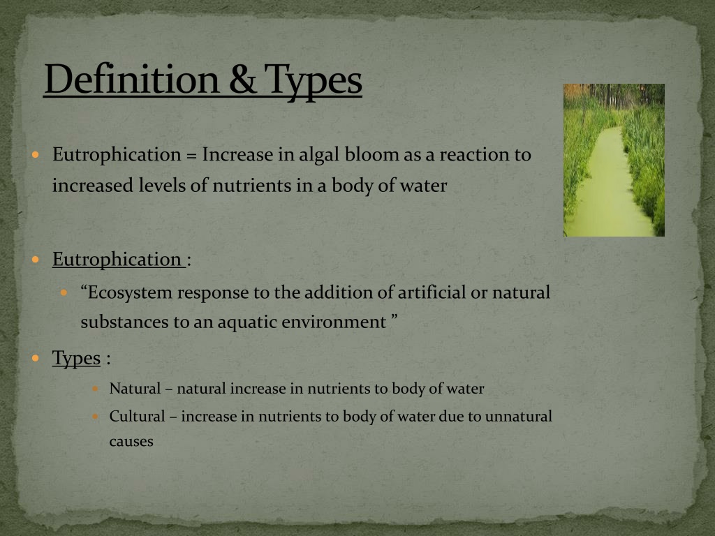 Eutrophication, Definition, Types, Causes, & Effects