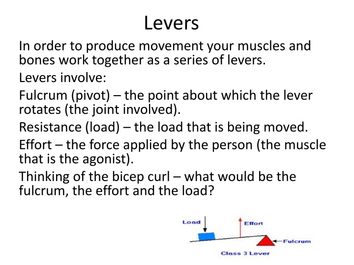 PPT - Levers PowerPoint Presentation, free download - ID:1529189