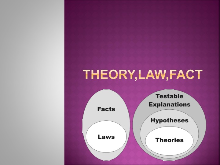 PPT Theory,law,fact PowerPoint Presentation, free download ID1529208