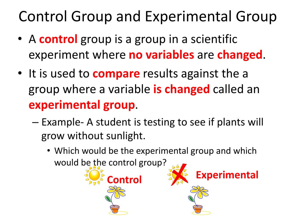 experimental control group hypothesis