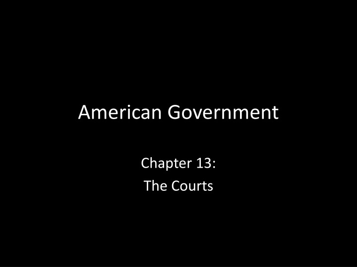 american government n.