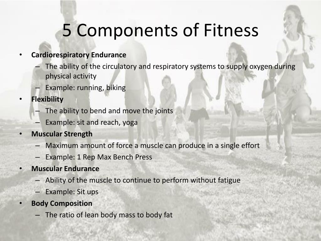 Components of fitness