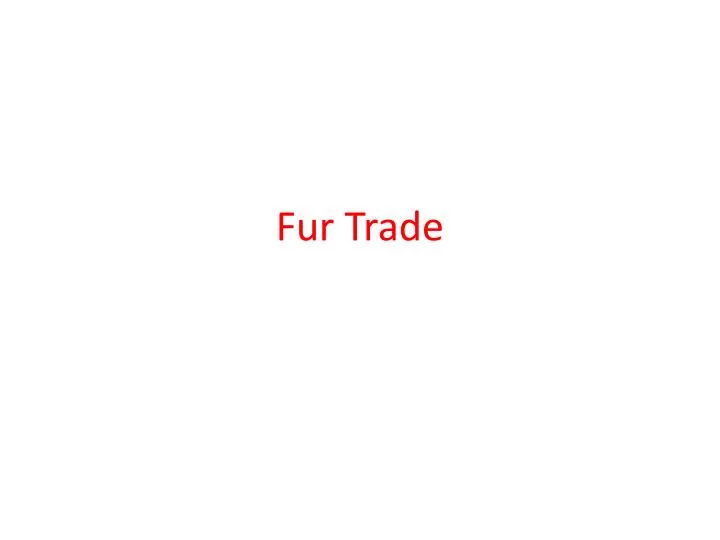 fur trade n.