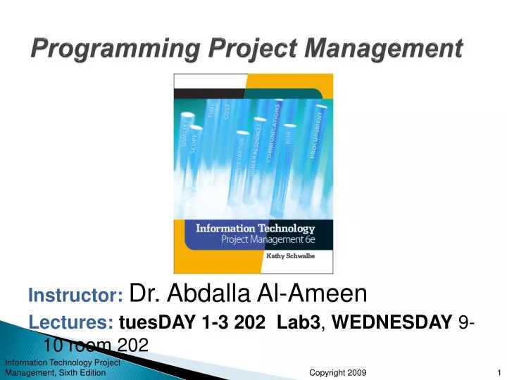 PPT - Programming Project Management PowerPoint Presentation, free ...