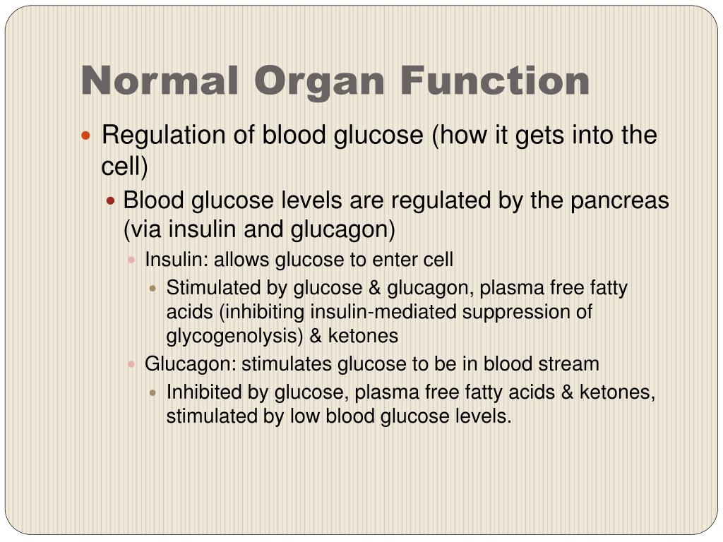 PPT - Diabetes Mellitus PowerPoint Presentation, free download - ID:1538425