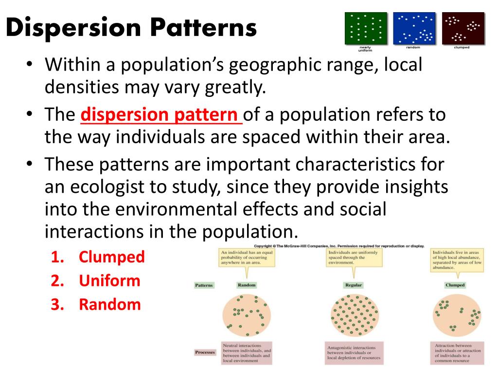 PPT Understanding Populations PowerPoint Presentation, free download