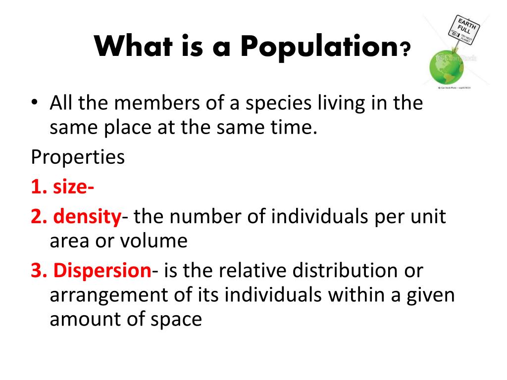 in research what is population