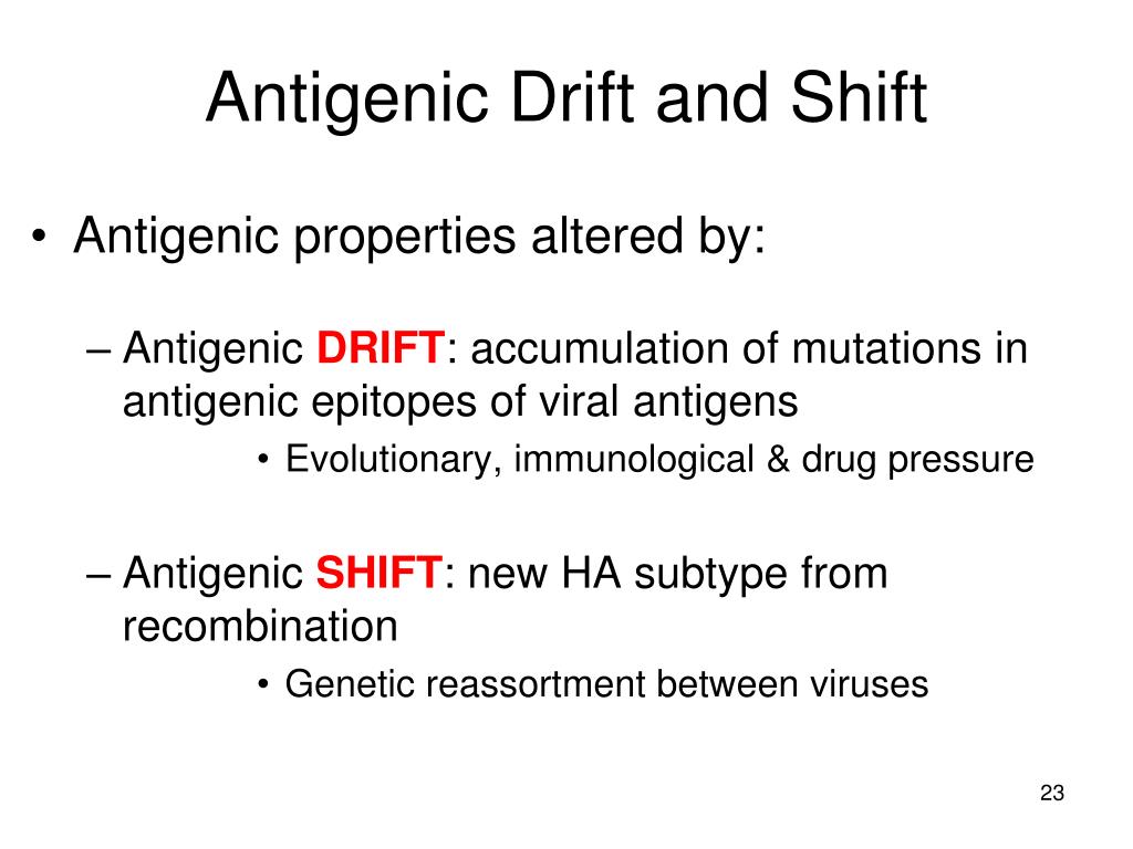 antigenic shift antigenic shift