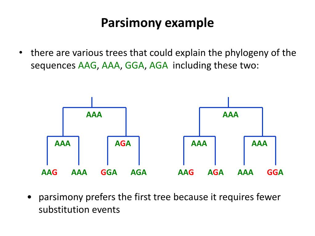 PPT Parsimony based algorithms for tree construction