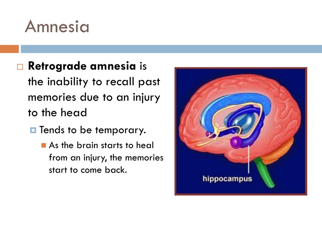 causes of temporary amnesia causes of temporary amnesia