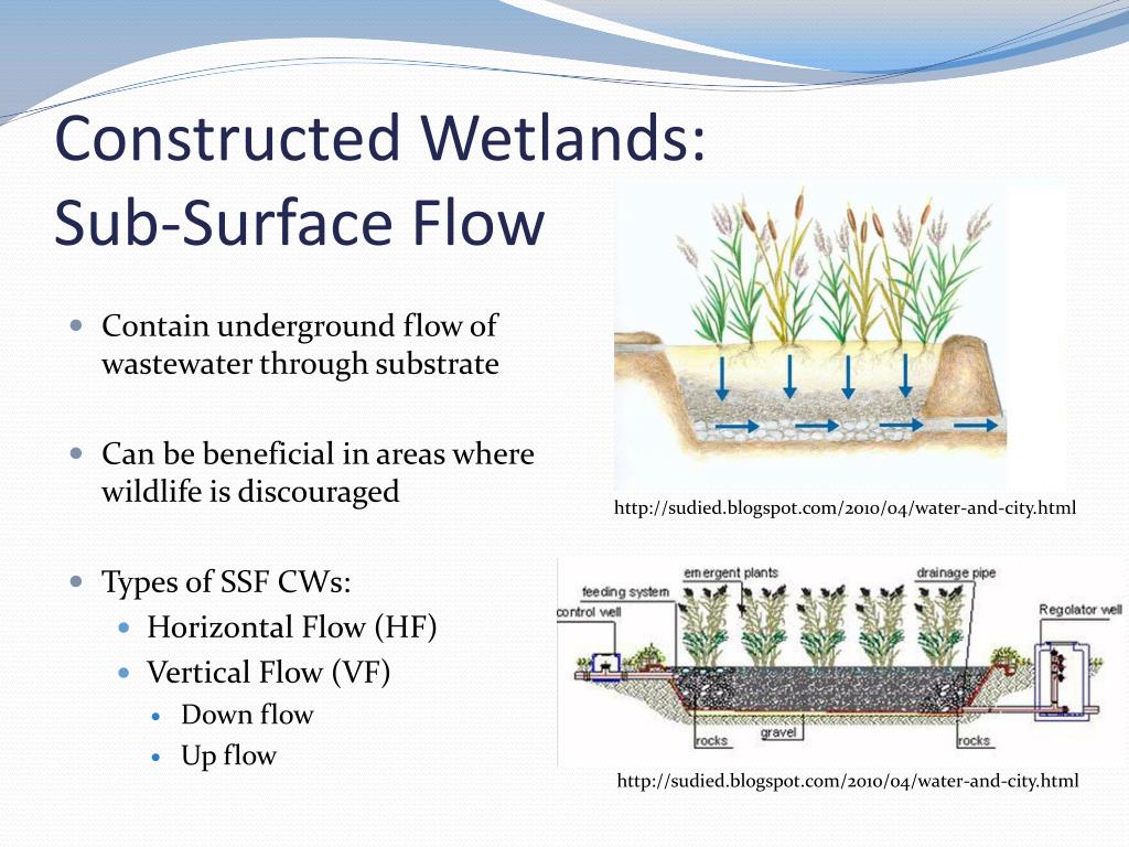 ppt-constructed-wetlands-powerpoint-presentation-free-download-id