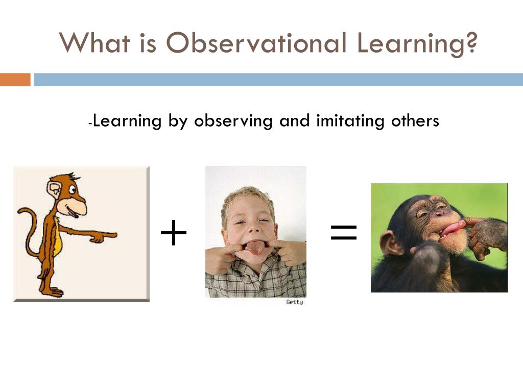 observational learning powerpoint presentation