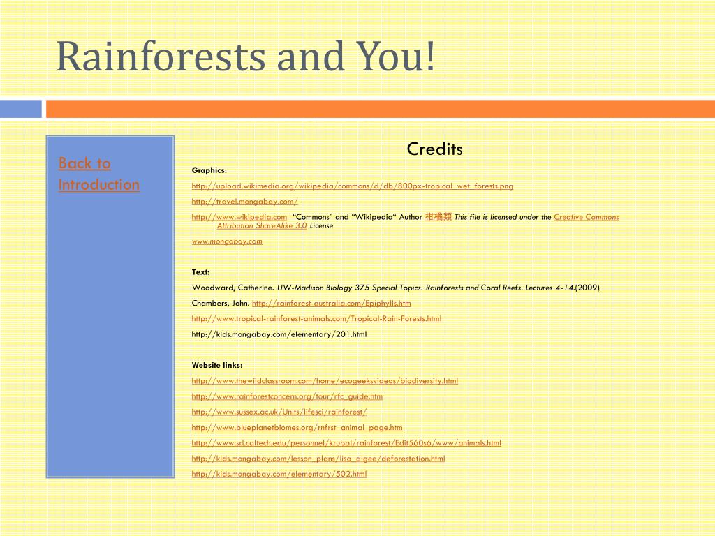 Ppt Rainforests And You Powerpoint Presentation Free Download Id1551216 4897