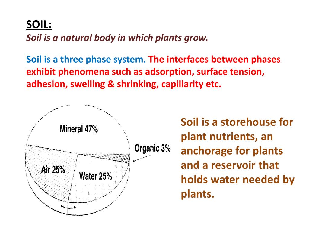 PPT SOIL PLANT WATER RELATIONSHIPS , Et o & Crop water